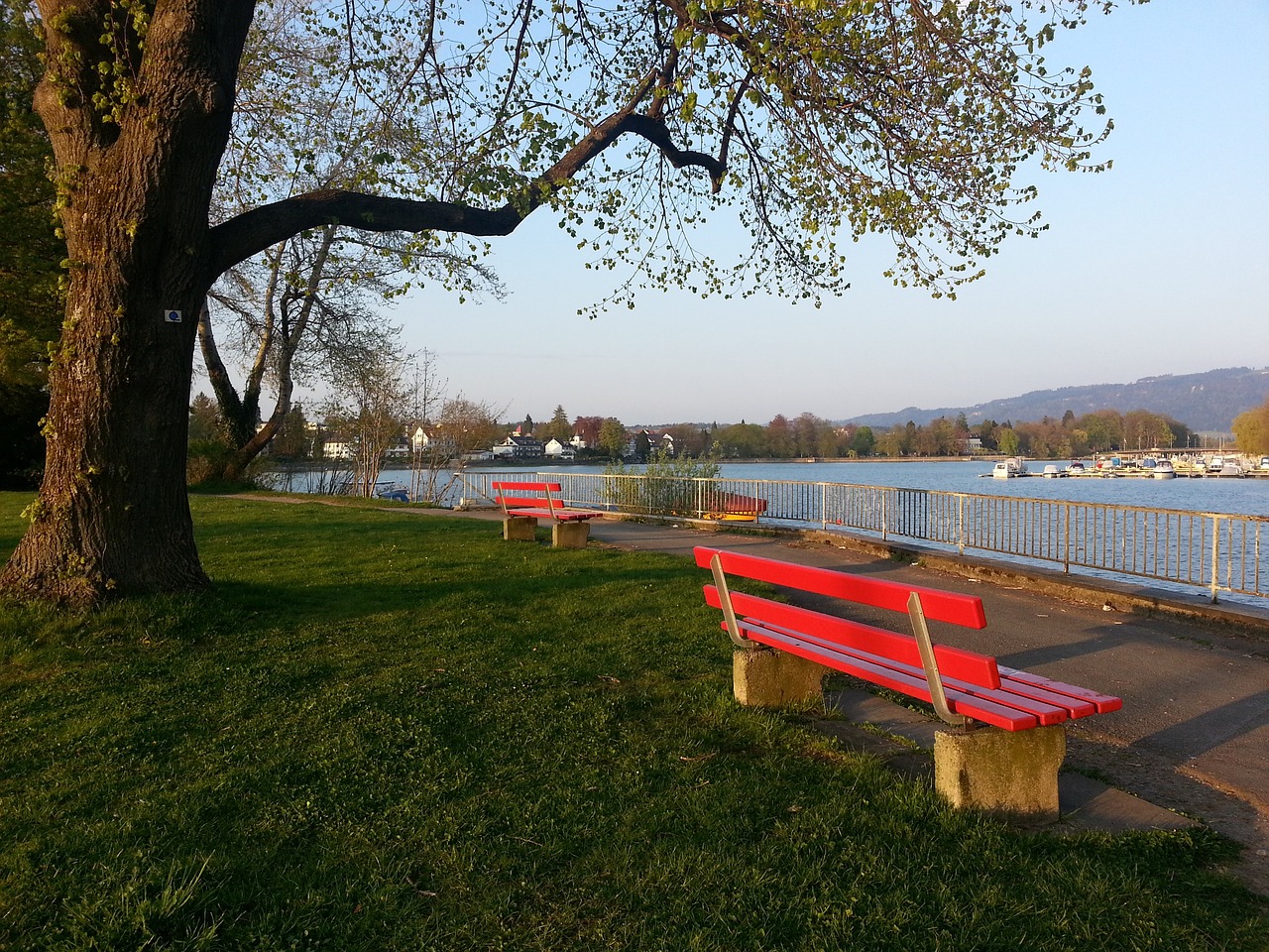 瓜迪奥拉作 瓜迪奥拉作