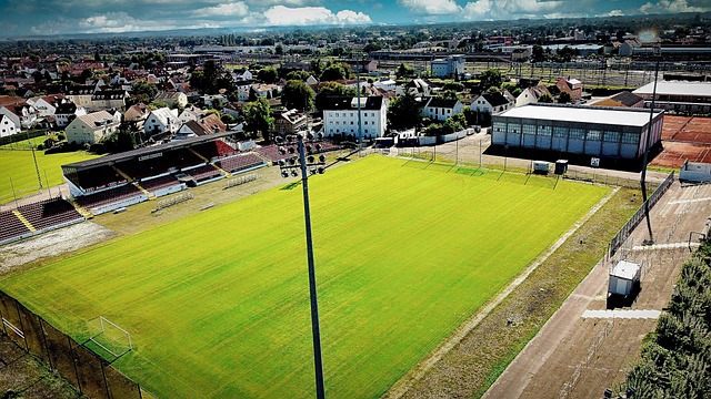 使其在主场 使其在主场