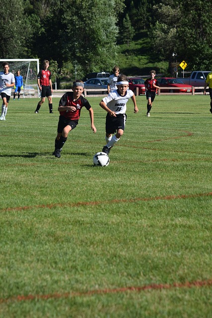 有效识别任 有效识别任